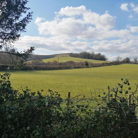 Vila Wolstonbury Getaway Hassocks Exteriér fotografie