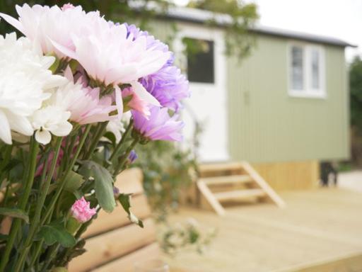 Vila Wolstonbury Getaway Hassocks Exteriér fotografie